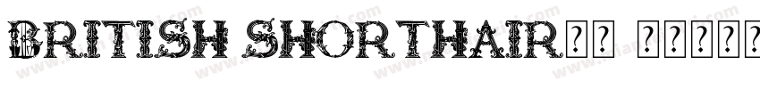 british shorthair字体字体转换